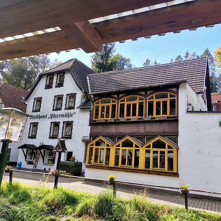 Waldhotel Pfarrmuehle Eisenberg  Exteriör bild