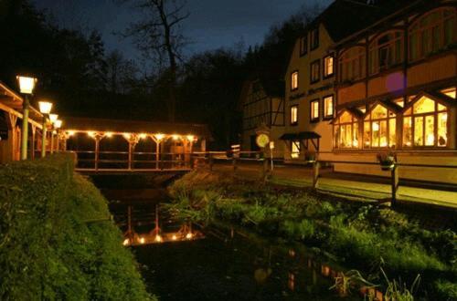 Waldhotel Pfarrmuehle Eisenberg  Exteriör bild