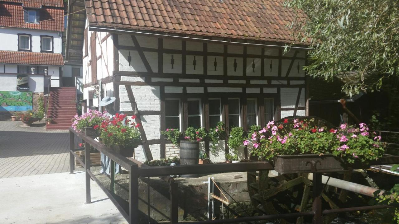Waldhotel Pfarrmuehle Eisenberg  Exteriör bild