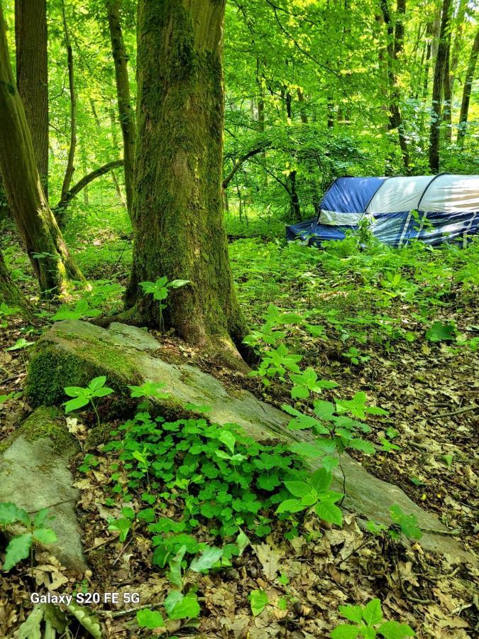 Waldhotel Pfarrmuehle Eisenberg  Exteriör bild